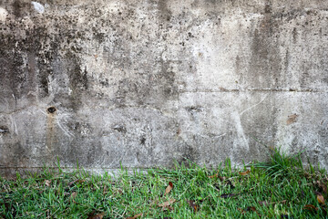 Scenery with concrete wall and grass floor.