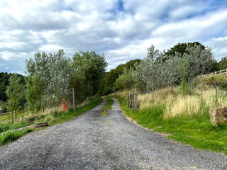 Cart track, leading into the woods, close to, Pudding Lane, on a cloudy day near, Cornholme, Todmorden, UK
