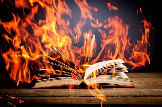 「451」の画像 274 件の Stock 写真、ベクターおよびビデオ Adobe Stock