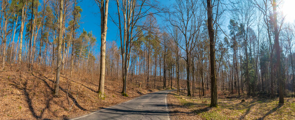 Panoramic view over a road in magical deciduous and pine forest, rocky granite hills landscape at riverside of Zschopau river near Mittweida town, Saxony, Germany, at warm sunset and blue Spring sky.