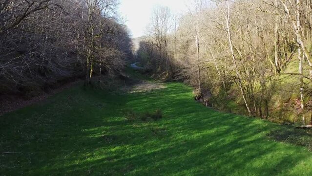Petit champ dissimul&eacute; dans la vall&eacute;e. Vu en drone &agrave; hauteur d'arbre.