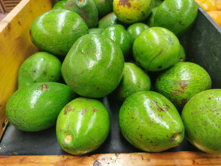 bunch of fresh green acovados in supermarket. food product vegetable avocado. pile of avocadoes for sale in the market. fresh avocadoes