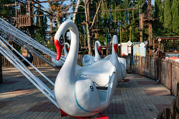 Childrens carousel with white swans. Attraction in the amusement park.