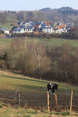 A horse in the croft and the village of Kadenbach in the distance. © Aneta