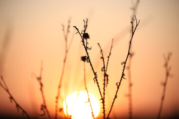 Obraz premium sunset in the mountains