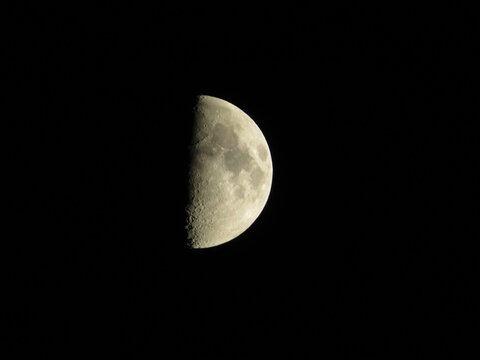 Beautiful first quarter moon against a clear night