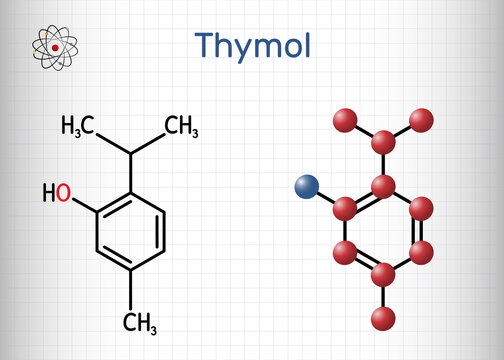 Thymol, IPMP molecule. It is phenol, natural monoterpene derivative of cymene. Obtained from thyme oil or other volatile oils. Structural chemical formula, molecule model. Sheet of paper in a cage