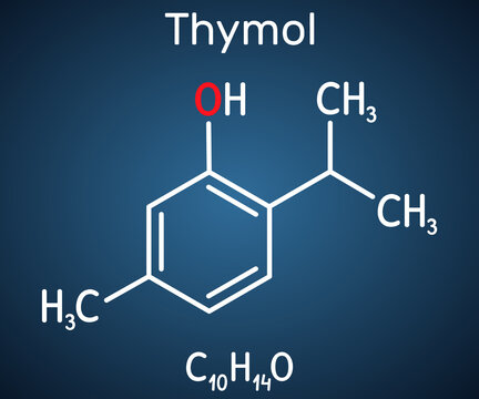 Thymol, IPMP molecule. It is phenol, natural monoterpene derivative of cymene. Obtained from thyme oil or other volatile oils. Structural chemical formula on the dark blue background