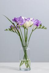 bouquet of twigs of delicate purple and white freesia flower in a glass bottle on a gray background