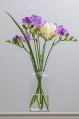 bouquet of twigs of delicate purple and white freesia flower in a glass bottle on a gray background