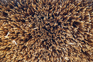 Texture of dry reeds, fence or roof made of reeds. Straw curtain background