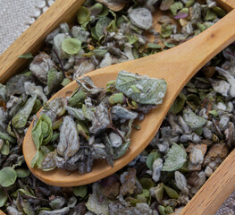 Origanum dictamnus, dittany of Crete tea on wooden spoon and wooden plate linen napkin background....