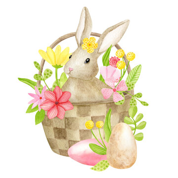 Watercolor Easter bunny in floral basket with colored eggs illustration. Hand drawn brown baby rabbit sitting in basket with flowers isolated on white background. Cute little hare animal clipart