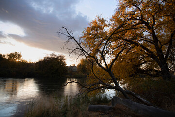 Riverside Meditation