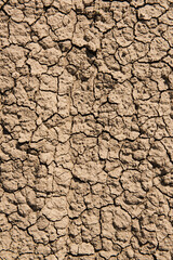 Drought, cracked earth background.