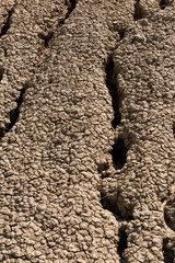 The drought land texture background. The global shortage of water on the planet.