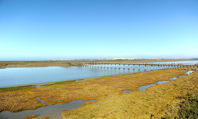Puente de madera sobre el Río San Pedro. Marisma de los Toruños y Pinar de la Algaida. Parque Natural Bahía de Cádiz, Andalucía, España.