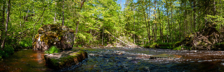 Fototapeta na wymiar Spring landscape with a fast river. A beautiful place of the river Valgejogi in Lahemaa National Park, Estonia. Panorama.