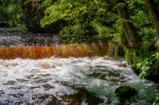 Amber waterfall. Nommeveski cascade on the river Valgejogi in Lahemaa National Park, Estonia ( Nõmmeveski, Valgejõgi.) Landscape on a spring sunny day.