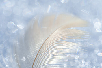 shiny blurred light natural background with delicate white feather. beautiful tender postcard with place for text. Good morning. feather on sparkling snow. 