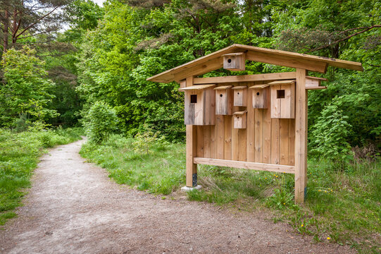 Many different forms of bird feeders. Birdhouses hang on a wooden information stand.  Bird feeders in the Kabli nature study trail. Estonia.