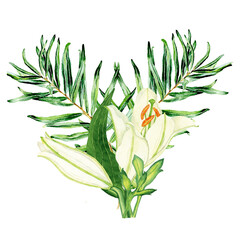 Watercolor white lilies bouquet. Isolated  illustrations on white background. Hand drawn painting

