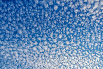 beautiful clouds against the blue sky, High white cirrus clouds with cirro-stratus in a light blue sky, sometimes called stool tails, indicate fine weather, but stormy changes come within days.