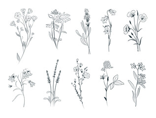 Continuous Line Drawing Set Of Plants Black Sketch of Flowers Isolated on White Background. Flowers One Line Illustration. Minimalist Prints Set.