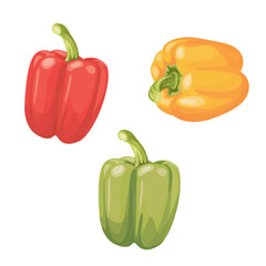 Set of three peppers. Yellow, red and green pepper. Vector illustration.