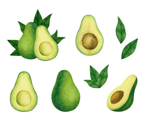 Watercolor avocado clipart. Set of avocado with leaves, halves and slices.