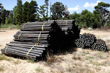 A stack of tar poles used on farms in the Breede River Valley, South Africa.