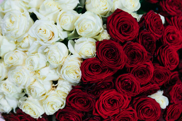 Beautiful flowers of white and red rose bouquet as background