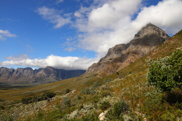 A view of mountains with fynbos in the foreground in the Breede River Valley, South Africa.