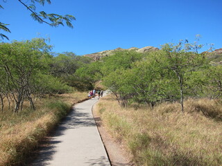 Winding concrete walkaway towards Diamond Head tuff cone summit. Blue sky, no clouds, green and yellow vegetation around. Oahu, Hawaii.