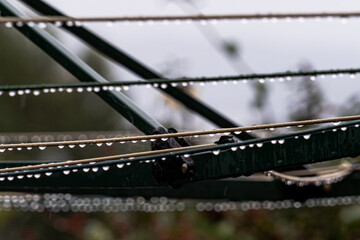 Closeup of wires with waterdrops
