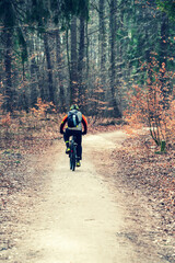 Obraz premium A forest path among the trees. Spring scenery in the forest. Kashubia in Poland