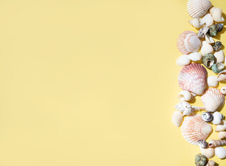 Seashells on a bright yellow background. The concept of summer holidays. Top view and copy space
