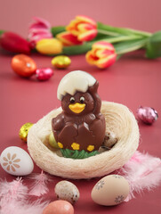 Obraz na płótnie Canvas Close up of Easter chick chocolate in a nest with various of Easter eggs and feathers, colorful tulips flower, and isolated pink background with festive decoration atmosphere 