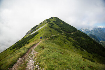 Beautiful shot of a green hill near the Triglav Mountain in Slovenia - obrazy, fototapety, plakaty