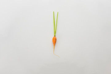 tiny orange carrot isolated on white background. tiny size. heathy and nutrition concepts. vitamin. top view