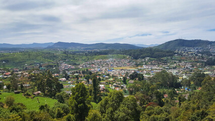 Naklejka premium landscape with trees and clouds