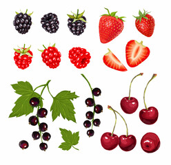 Set of berries on a white background. Blackberries, raspberries, strawberries, black currants, cherries. Stock illustration.