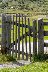 Vertical shot of a wooden gate in a park