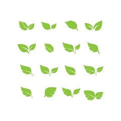 unique green leaf symbol logo vector complete collection bundle