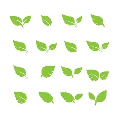 unique green leaf symbol logo vector complete collection bundle