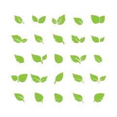 unique green leaf symbol logo vector complete collection bundle