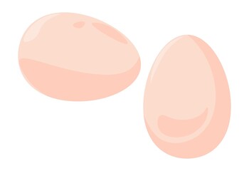 Eggs natural and organic farm product, vector
