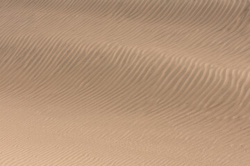 Namibia, grains of sand on the dunes, texture,  background
