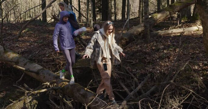 Three tourist girls go through the obstacles of fallen trees in the forest on a hike. women balance on a tree that lies on a zeppel over a river in a reserve. overall plan