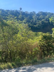 paisajes, panorama, cielo, campo ,